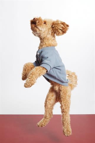 Monido Gri Köpek Kolej Ceketi - 