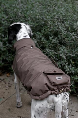 Monido Haki Köpek Montu