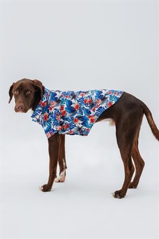 Hypet Fashion Hawaii Shirt