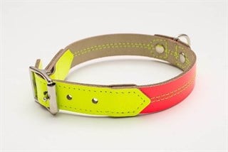 Hiro+Wolf Twin Stitch Neon Köpek Boyun Tasması