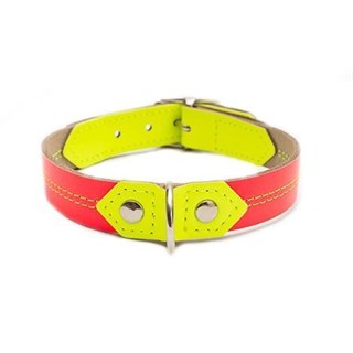 Hiro+Wolf Twin Stitch Neon Köpek Boyun Tasması