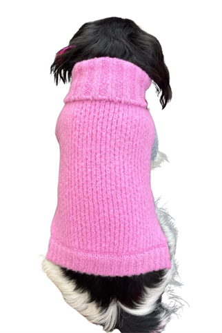 Hole Pink (New) Köpek Kazağı