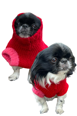 Hole Red (New) Köpek Kazağı