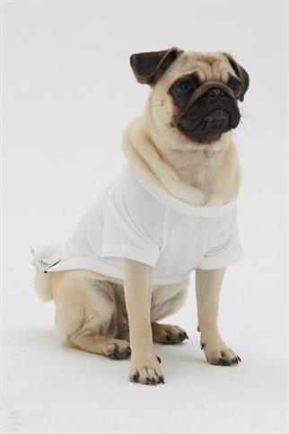 Hypet Fashion Hot Dog Tee