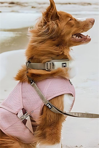 Hurtta Köpek Soğutucu Yeleği Carnation Pink