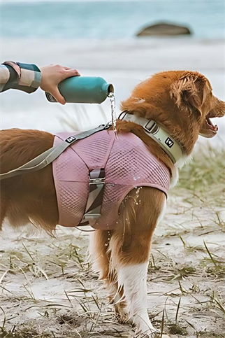 Hurtta Köpek Soğutucu Yeleği Carnation Pink