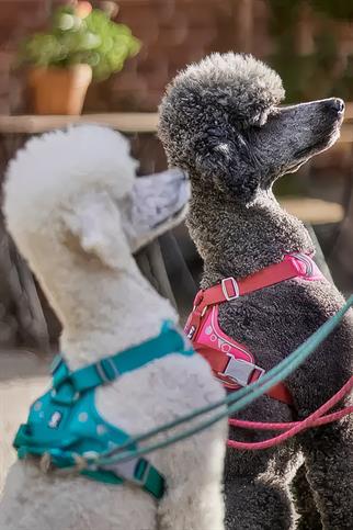 Hurtta Weekend Warrior Göğüs Tasması - Fuşya