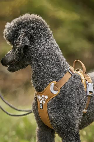 Hurtta Weekend Warrior Göğüs Tasması - Hardal