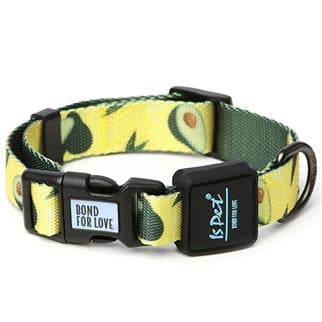 Ispet Avokado Köpek Boyun Tasması