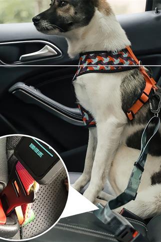 Ispet Camouflage Emniyet Kemerli Köpek Gezdirme kayışı