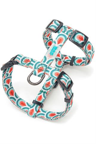 Ispet Fish Scale Spider Dog Breast Station