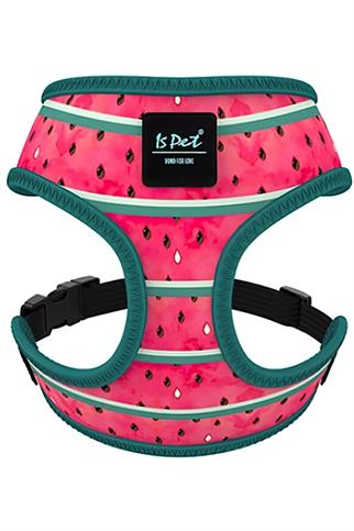 Ispet Watermelon Airmesh Dog Chest Collar