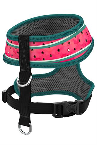 Ispet Watermelon Airmesh Dog Chest Collar