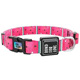 Ispet Karpuz Köpek Boyun Tasması