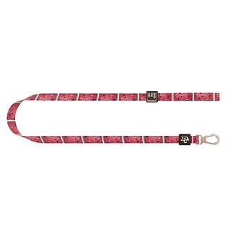 Ispet Karpuz Köpek Gezdirme kayışı