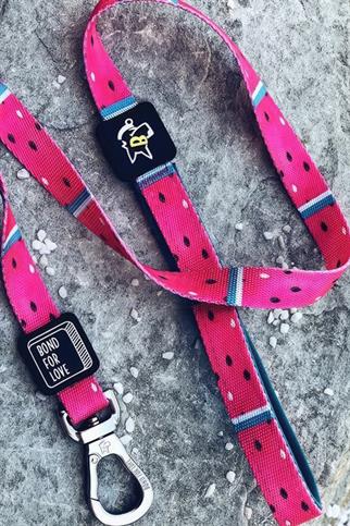 Ispet Karpuz Köpek Gezdirme kayışı