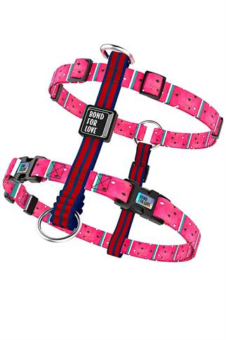 Ispet Watermelon Spider Type Dog Breast Collar