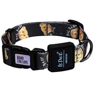 Ispet Teddy Köpek Boyun Tasması