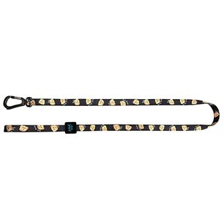 Ispet Teddy Köpek Teddy Gezdirme Kayışı