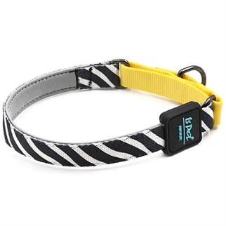 Ispet Zebra Köpek Eğitim Boyun Tasması