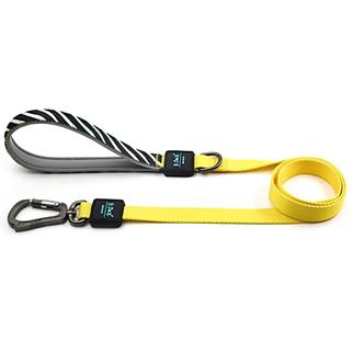 Ispet Zebra Köpek Gezdirme kayışı