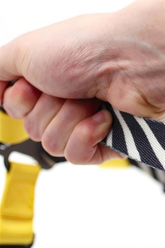 Ispet Zebra Step In Dog Breast Station