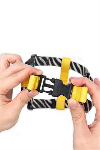 Ispet Zebra Step In Dog Breast Station