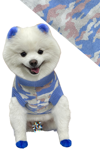 Justice Köpek Kazağı