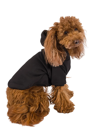 Kajuland Maura Köpek Hoodie Siyah
