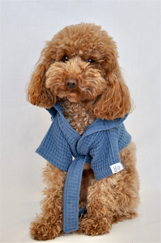 Kajuland Pacific | Waffle Köpek Bornozu Mavi