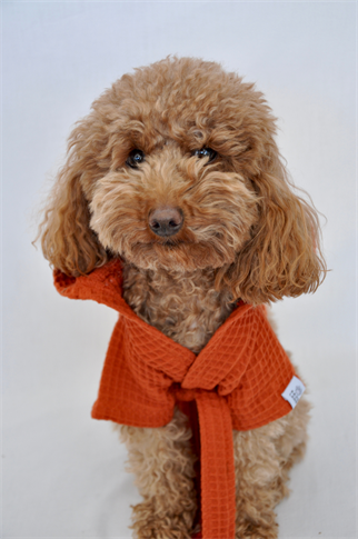 Kajuland Pacific | Waffle Köpek Bornozu Kiremit