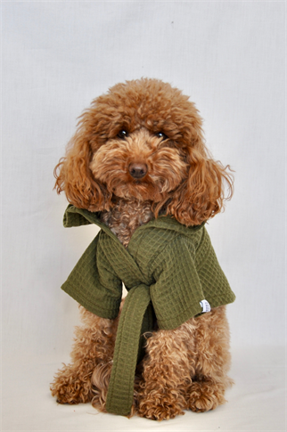 Kajuland Pacific | Waffle Köpek Bornozu Yeşil