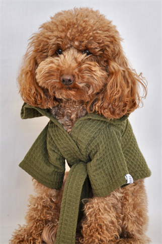 Kajuland Pacific | Waffle Köpek Bornozu Yeşil