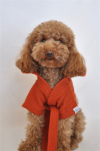 Kajuland Pacific | Waffle Köpek Bornozu Kiremit