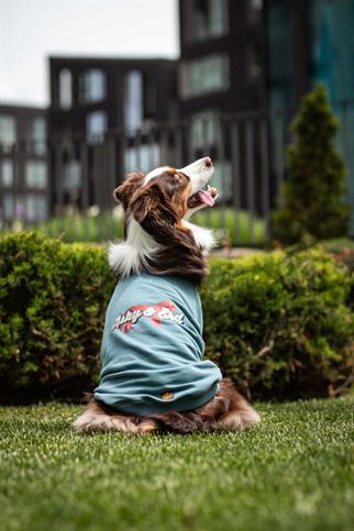 Legacy Sweatshirt - Seafoam Glow