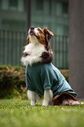 Legacy Sweatshirt - Seafoam Glow