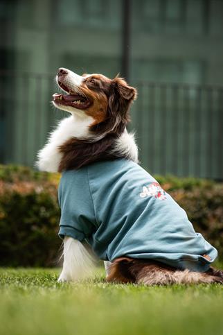 Legacy Sweatshirt - Seafoam Glow