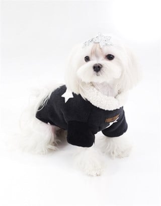 Lil.Co Be A Star Limited Edition Dog Cossor Black