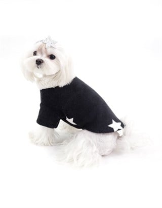 Lil.Co Be A Star Limited Edition Dog Cossor Black