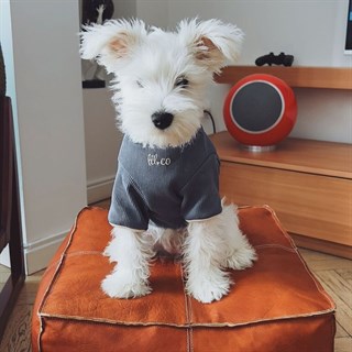 Lil.co Cuddly One Köpek Shirt