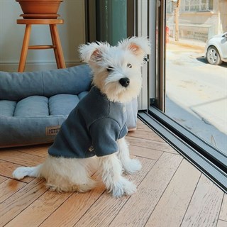 Lil.co Cuddly One Köpek Shirt