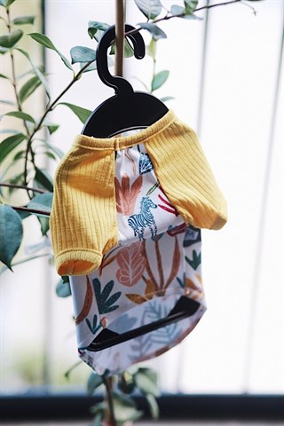 Lil.Co Dog Tshirt Zoo Yellow