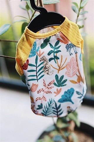 Lil.Co Dog Tshirt Zoo Yellow