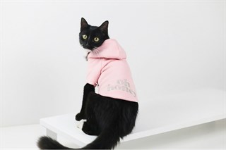 Lil.co Oh Honey Hoodie Köpek Sweatshirt Pembe
