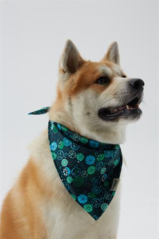 Hypet Fashion Lime Bandana