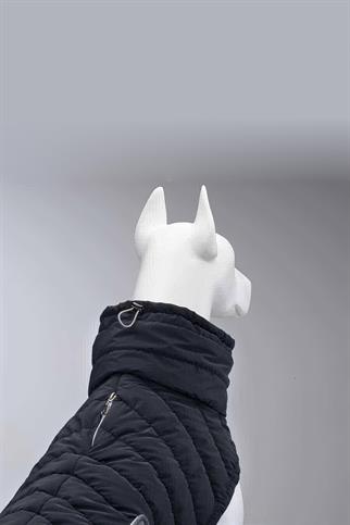 Lindodogs Air Puff Deep Köpek Montu