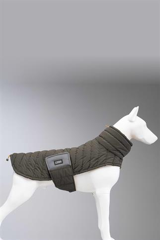 Lindodogs Air Puff Mango Köpek Montu