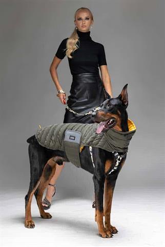 Lindodogs Air Puff Mango Köpek Montu