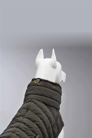 Lindodogs Air Puff Mango Köpek Montu