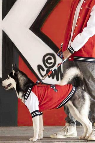 Lindodogs All Star Köpek Sweatshirt Kırmızı